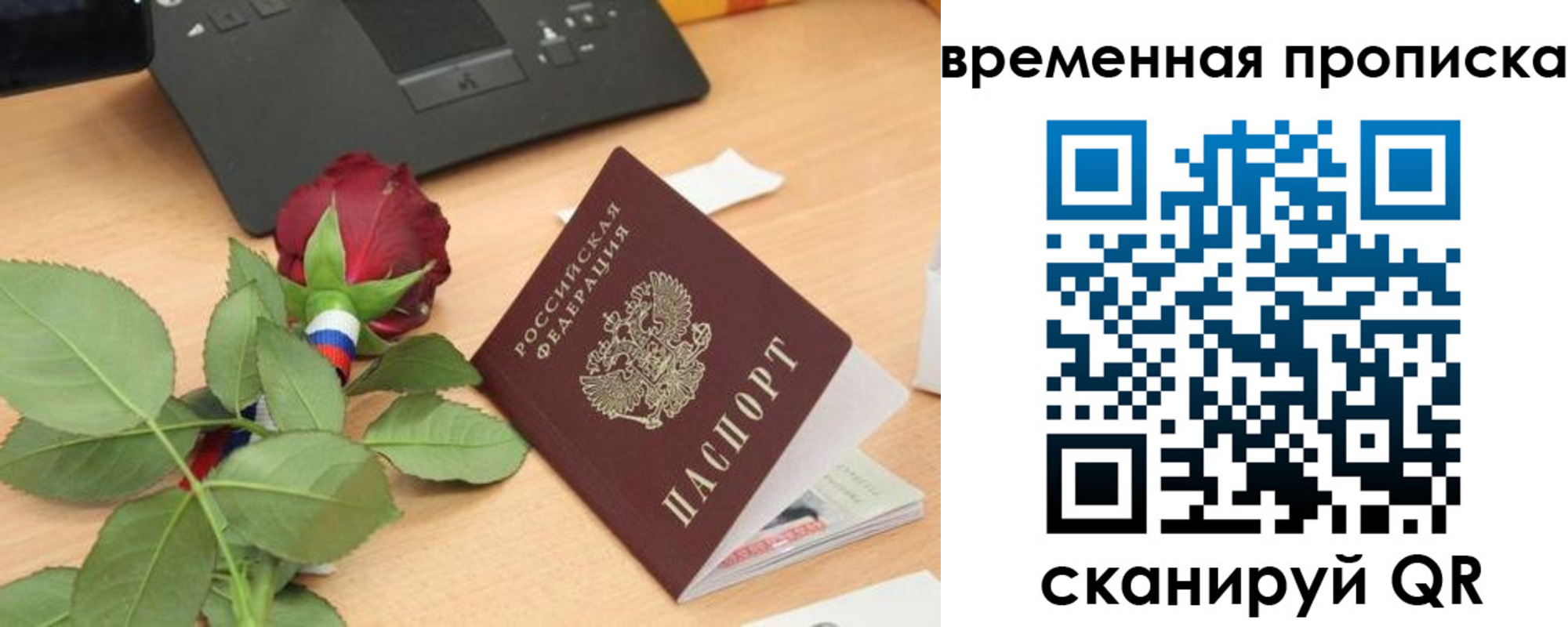 временная регистрация поиск в Кандалакше